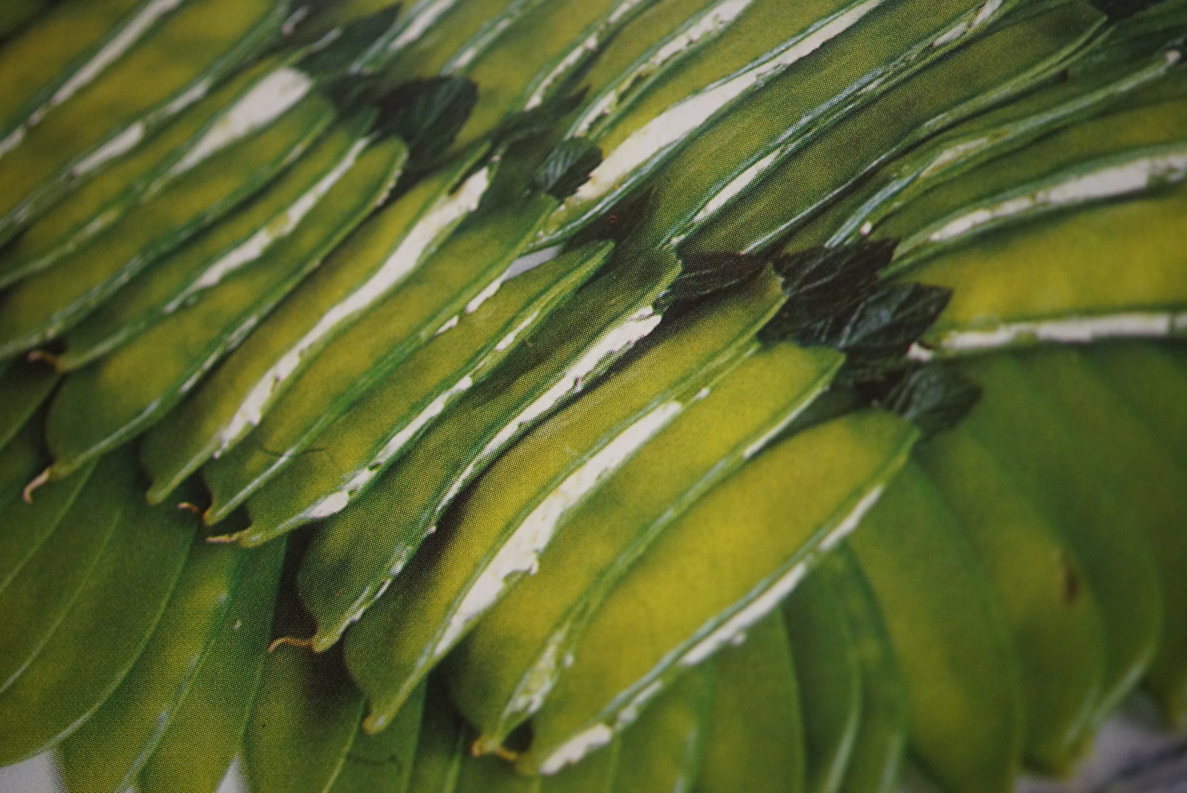 City Cafe & Bakery gallery image